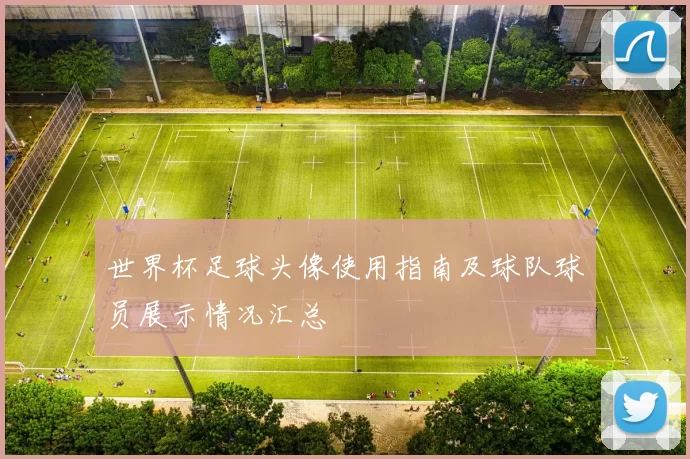 世界杯足球头像使用指南及球队球员展示情况汇总