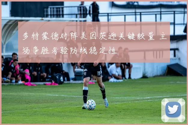 多特蒙德对阵美因茨迎关键较量 主场争胜考验防线稳定性