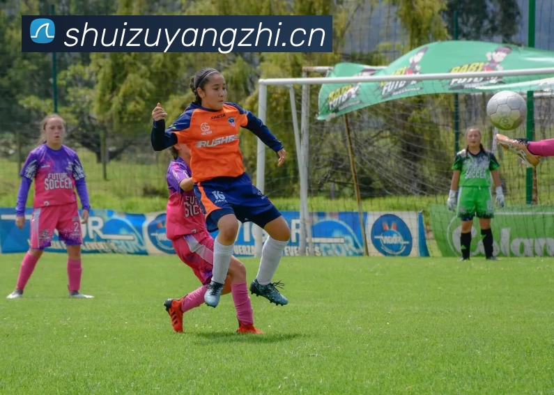 米兰(中国)milan·官方网站 - 登录入口APP 封面图